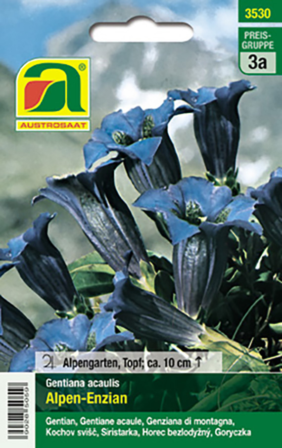 Samenpackung Austrosaat Alpen-Enzian (Gentiana acaulis) mit Foto blauer trichterförmiger Blüten, Markenlogo und Hinweis 'Alpengarten, Topf; ca. 10 cm'