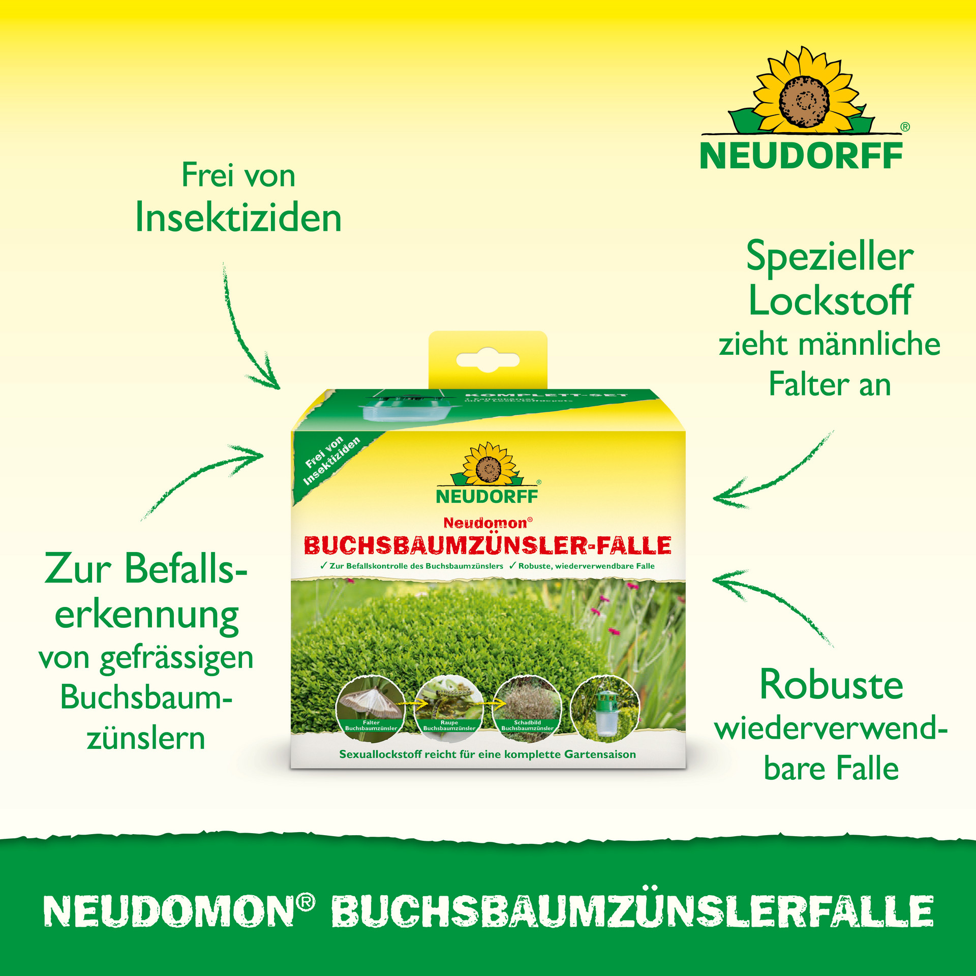 Buchsbaumzünsler-Falle