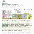 Vorderseite einer Koriandersaatgut-Packung mit Anbauhinweisen, Symbolen für Aussaatzeiten, Pflegehinweisen und einer kleinen Kartenskizze