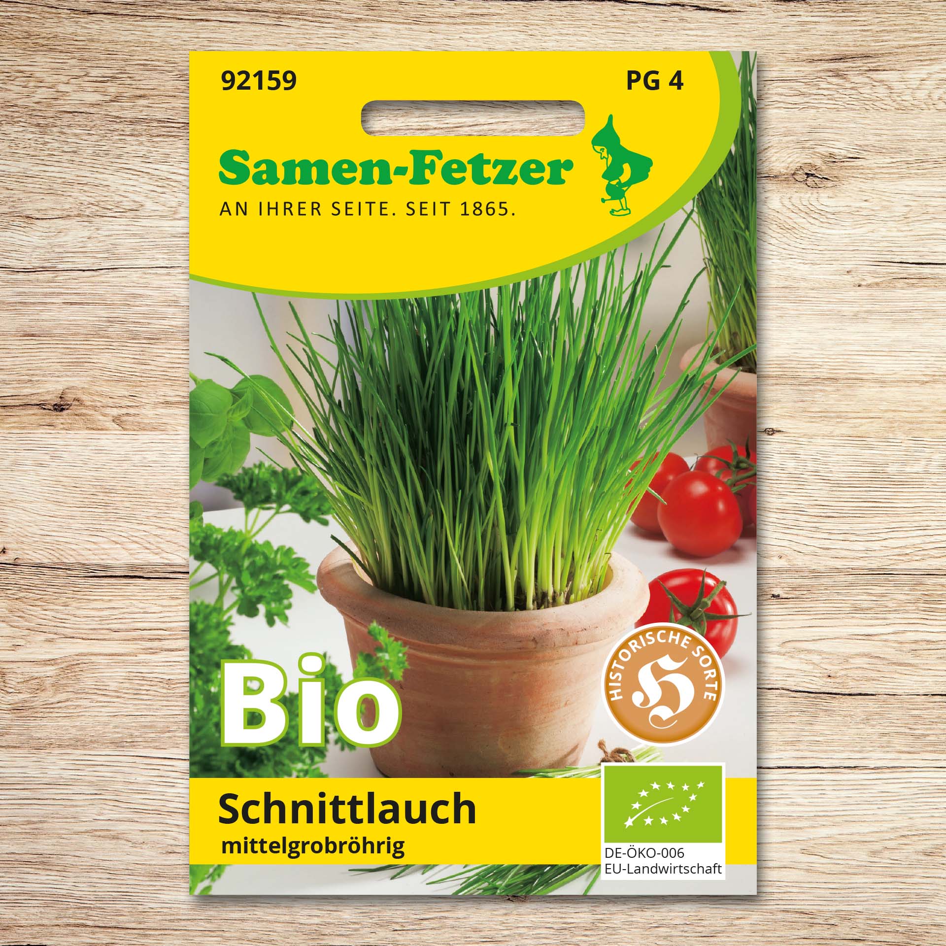 Samen-Fetzer Saatgut Schnittlauch (Bio) mittelgrobröhrig, Packung mit frischem grünem Schnittlauch im Tontopf – aromatisches Küchenkraut für Garten, Balkon und Fensterbank