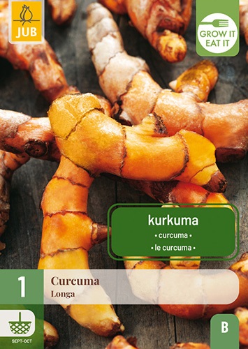 Nahaufnahme frischer Kurkuma-Gelbwurz-Rhizome (Curcuma longa) mit orangegelbem Inneren – tropische Gewürzpflanze für Topf und Garten, ideal für Curry, Suppen und Reisgerichte