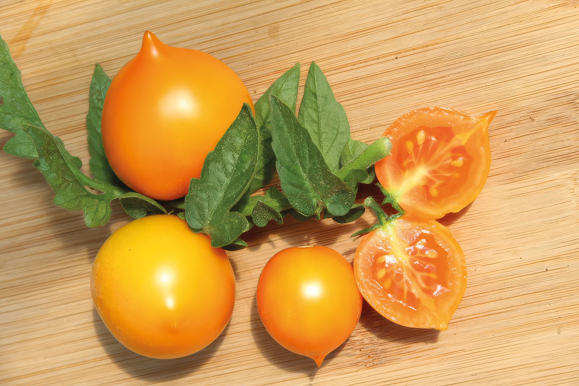 Balkontomate Utenok