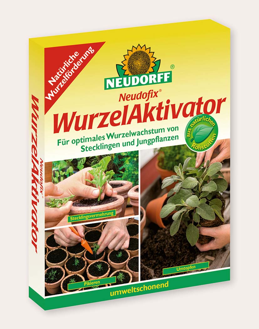 Packung Neudorff Neudofix WurzelAktivator mit Bildern von Stecklingsvermehrung, Pikieren und Umtopfen; Produkt zur Förderung des Wurzelwachstums