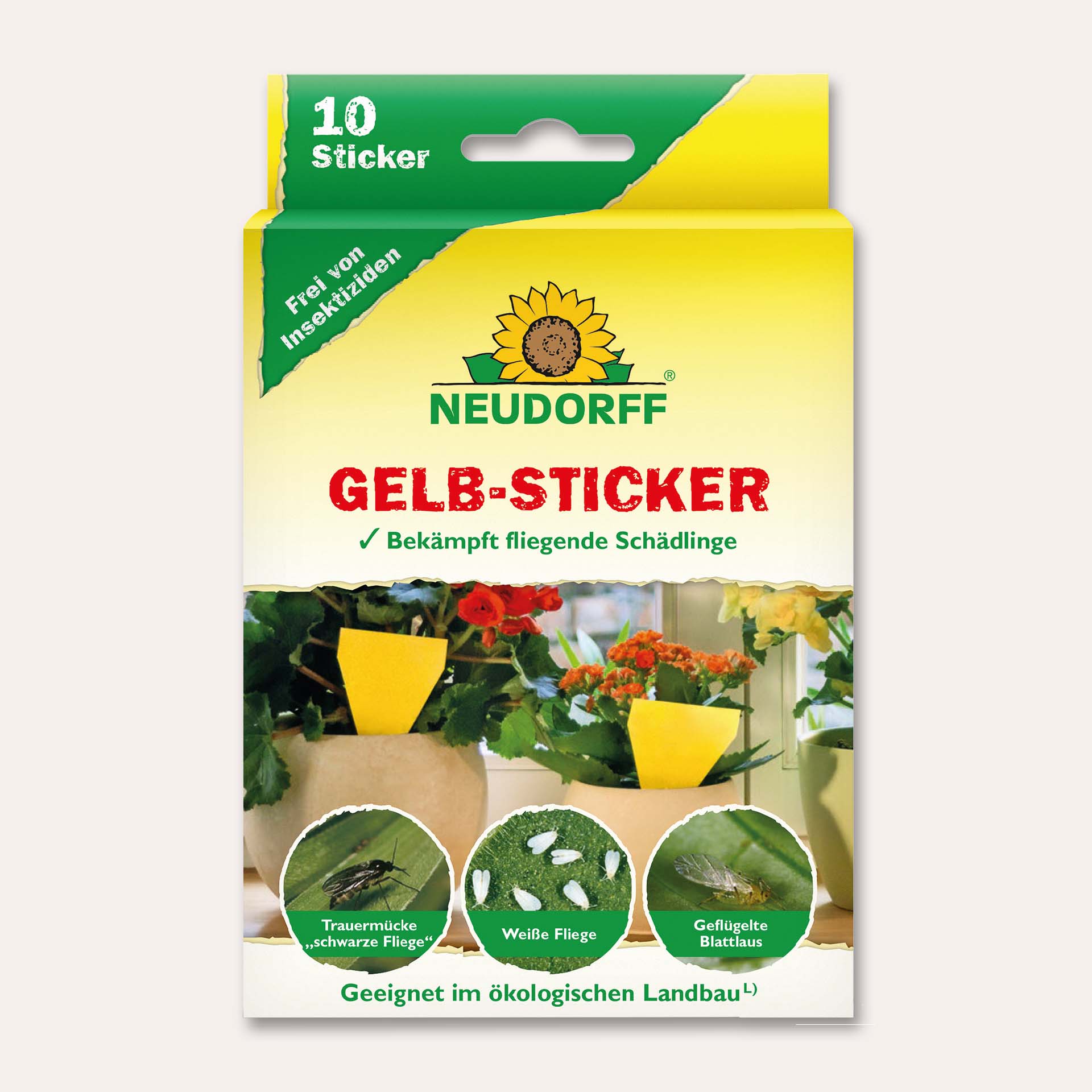 Gelbsticker 8,6 x 12,5cm