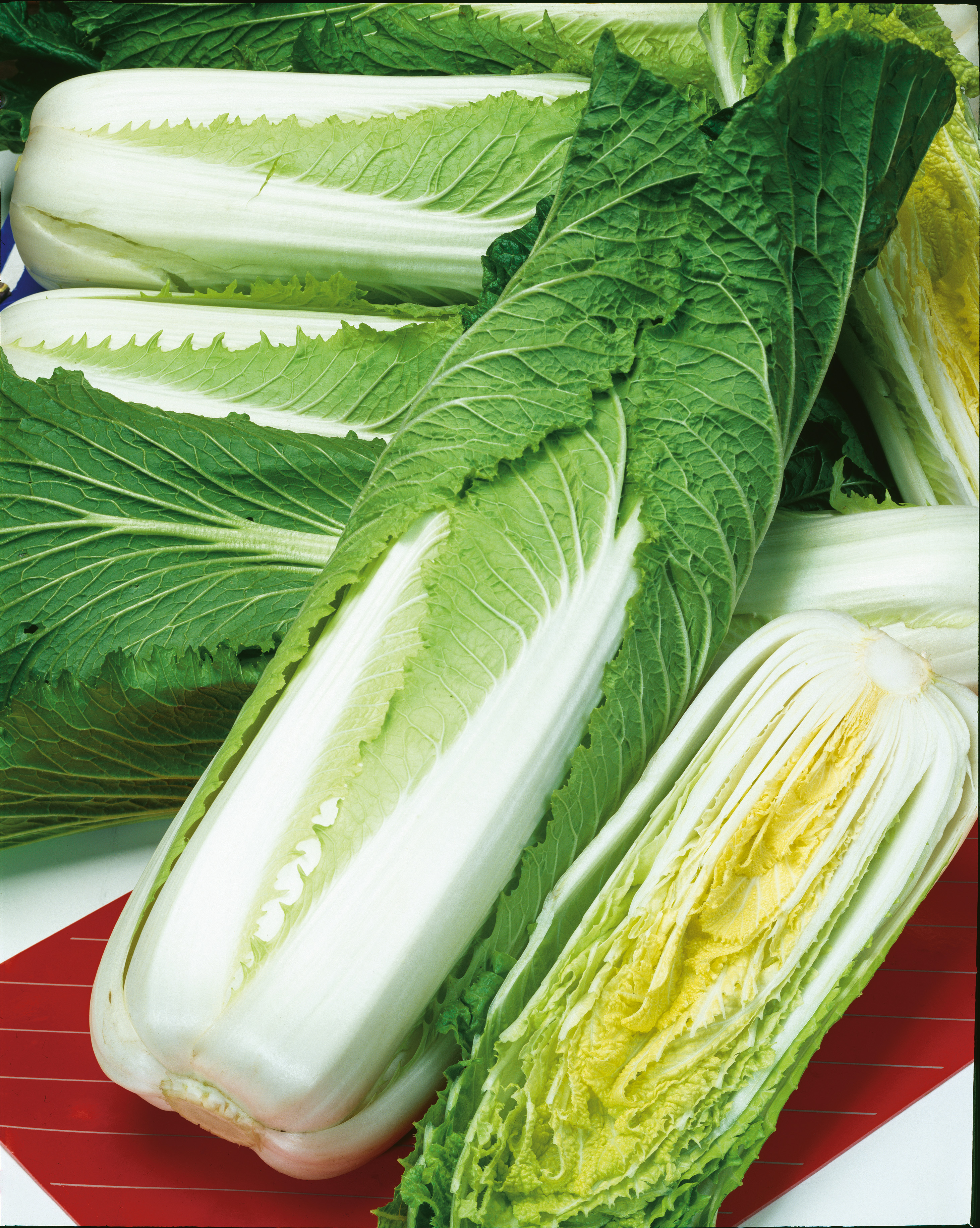 Frischer Chinakohl (Pekingkohl) in Nahaufnahme: ganze Köpfe und halbierte Exemplare mit hellgrünen Innenblättern, kräftig grünen Außenblättern und weißem Strunk