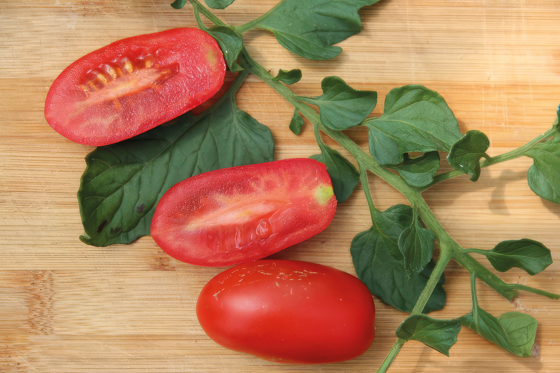 Salattomate Mini San-Marzano