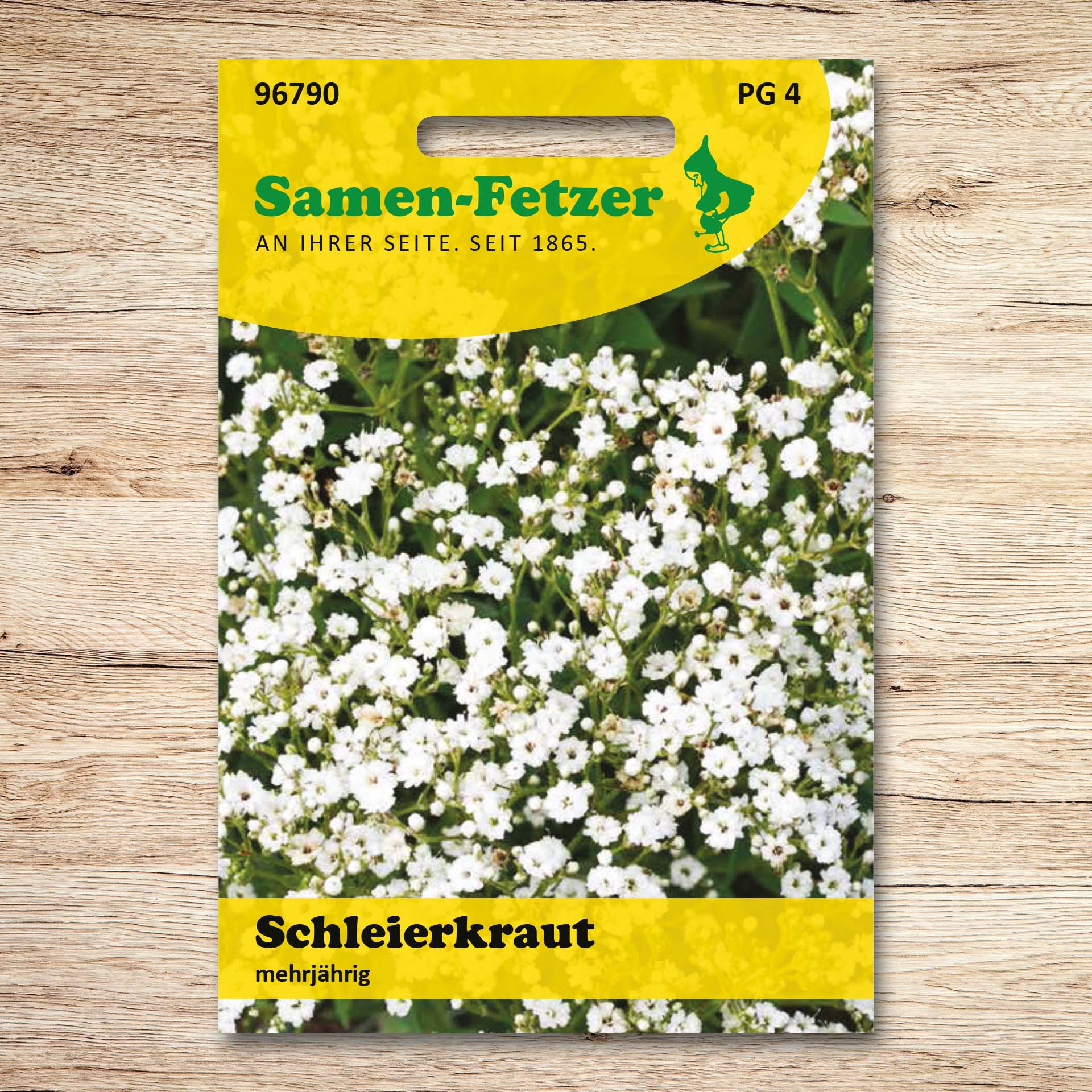 Schleierkraut gefüllt, mehrjährig