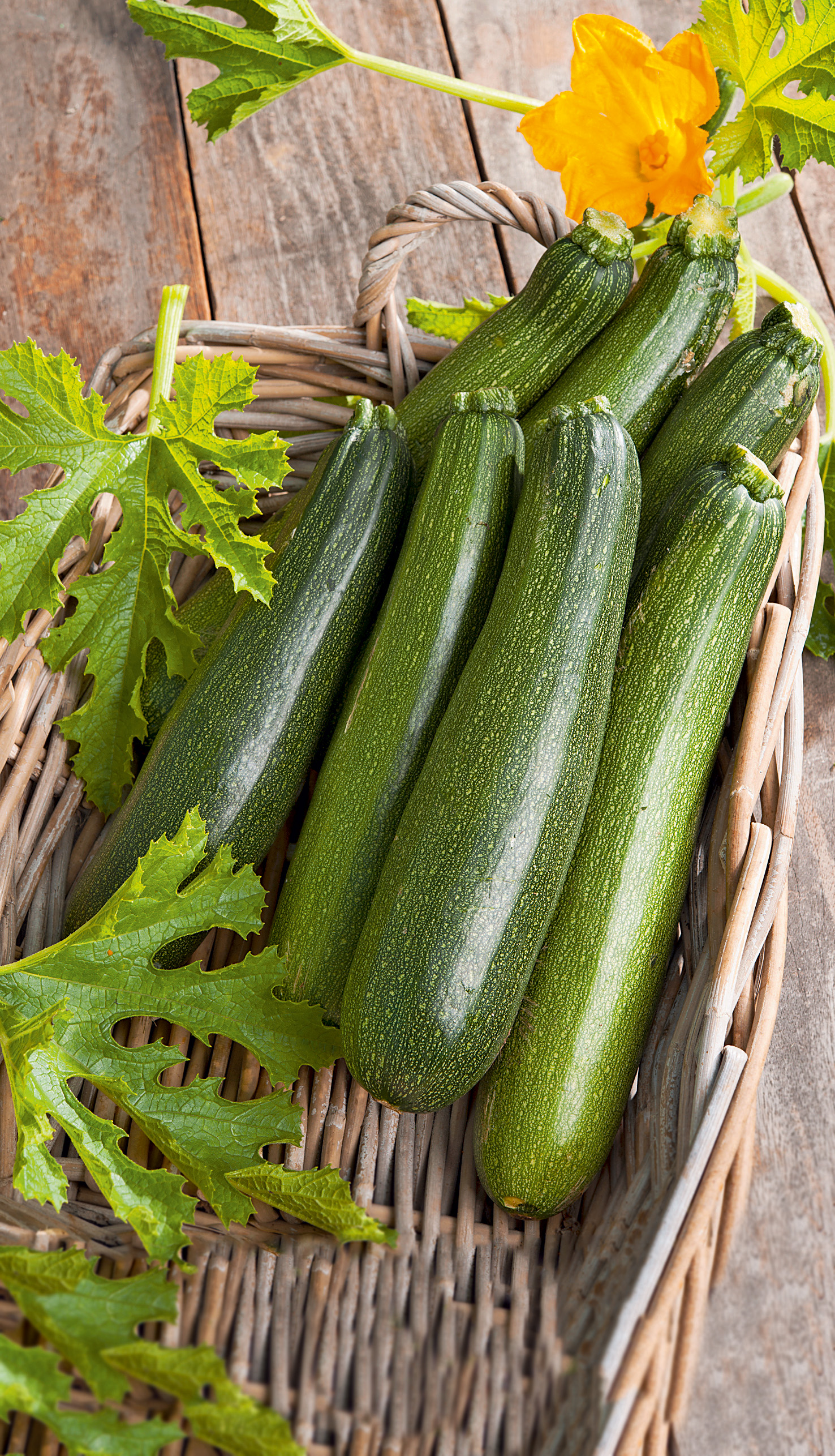 Nahaufnahme mehrerer frischer grüner Zucchini in einem Weidenkorb auf Holzuntergrund, mit gelber Blüte und grünen Blättern
