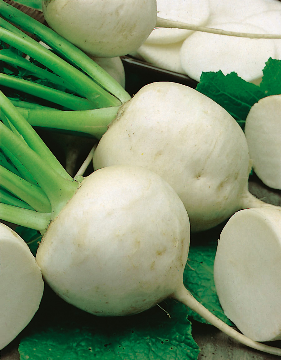 Herbstrüben Schneeball