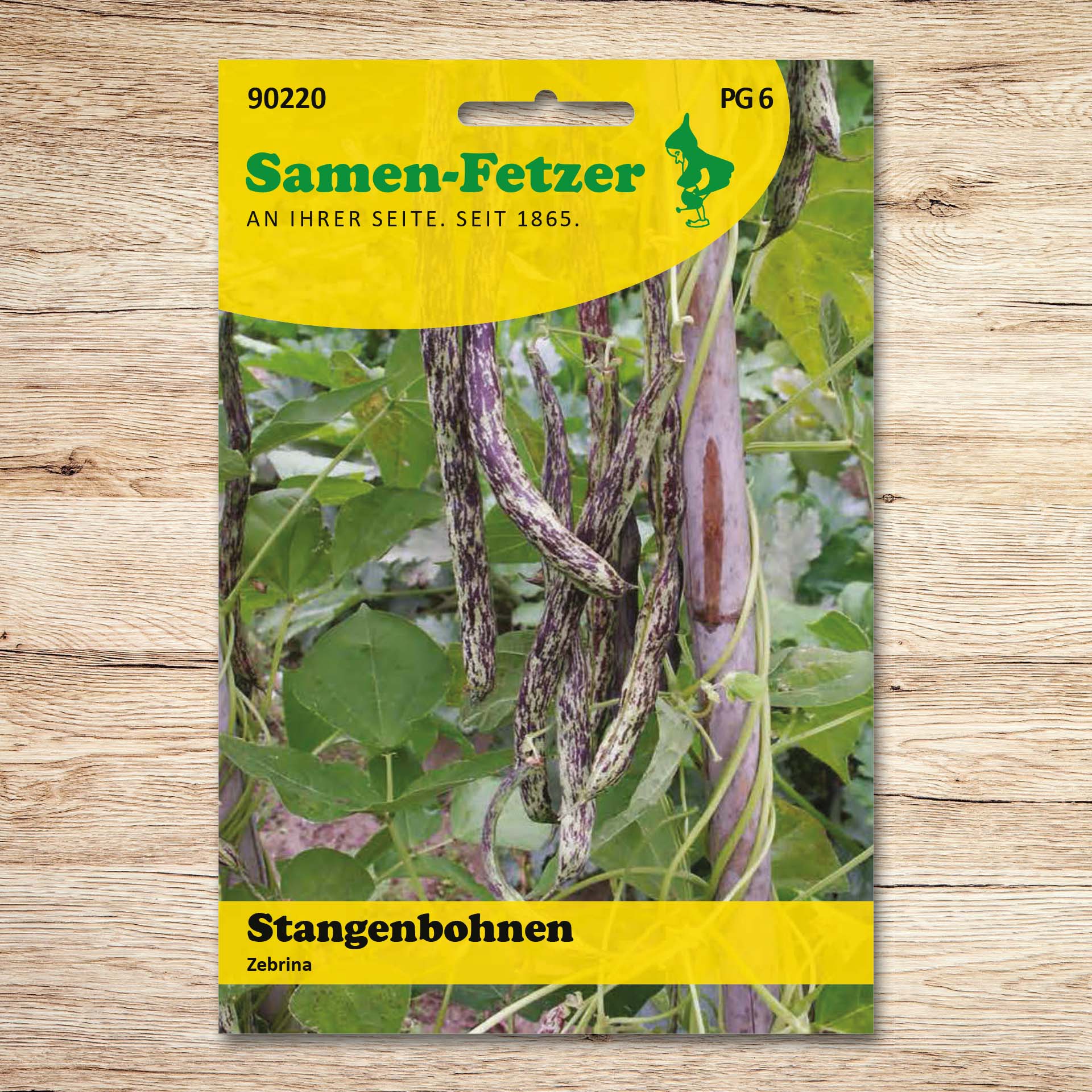 Saatgutpackung Samen-Fetzer Stangenbohnen Zebrina mit violett-grün gesprenkelten, fadenlosen Hülsen an der Rankpflanze; ertragreiche Trockenkochbohne für rauere Klimazonen