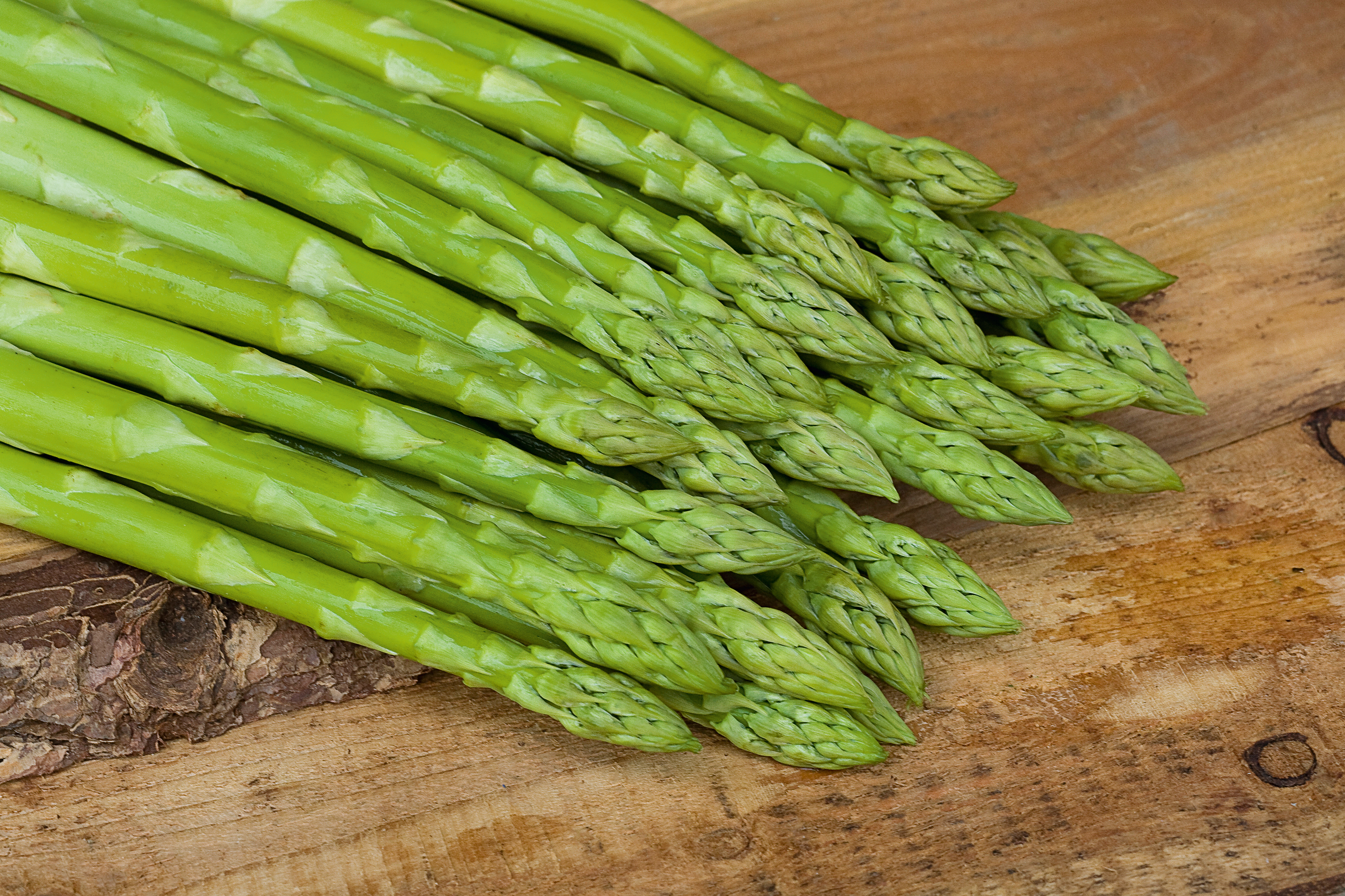 Grünspargel Mary Washington