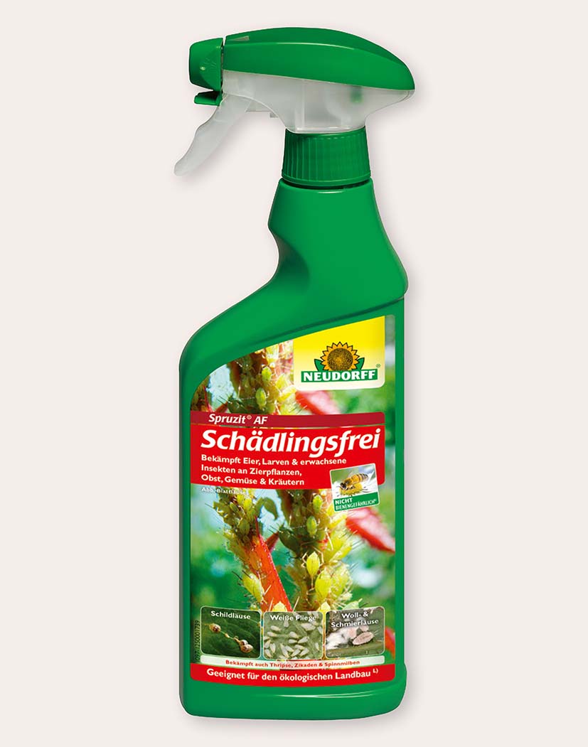 99590_Spruzit_AF_Schädlingsspray Neudorff Spruzit AF Schädlingsfrei Sprühflasche, grüne Flasche mit Etikett und Blattlaus-Motiv, Pflanzeninsektizid für Zierpflanzen, Obst, Gemüse und Kräuter