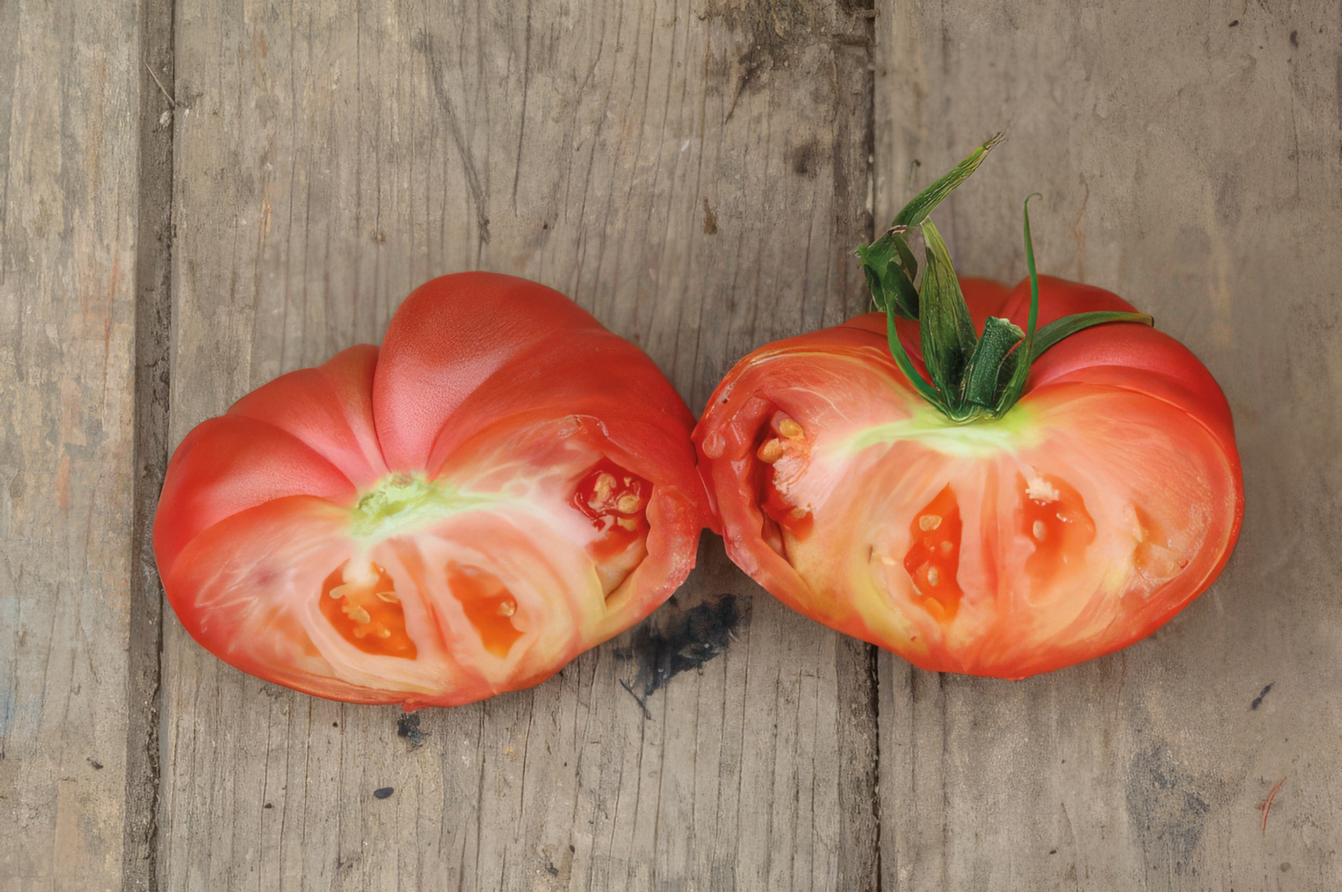 Fleischtomate Grandmothers Heart