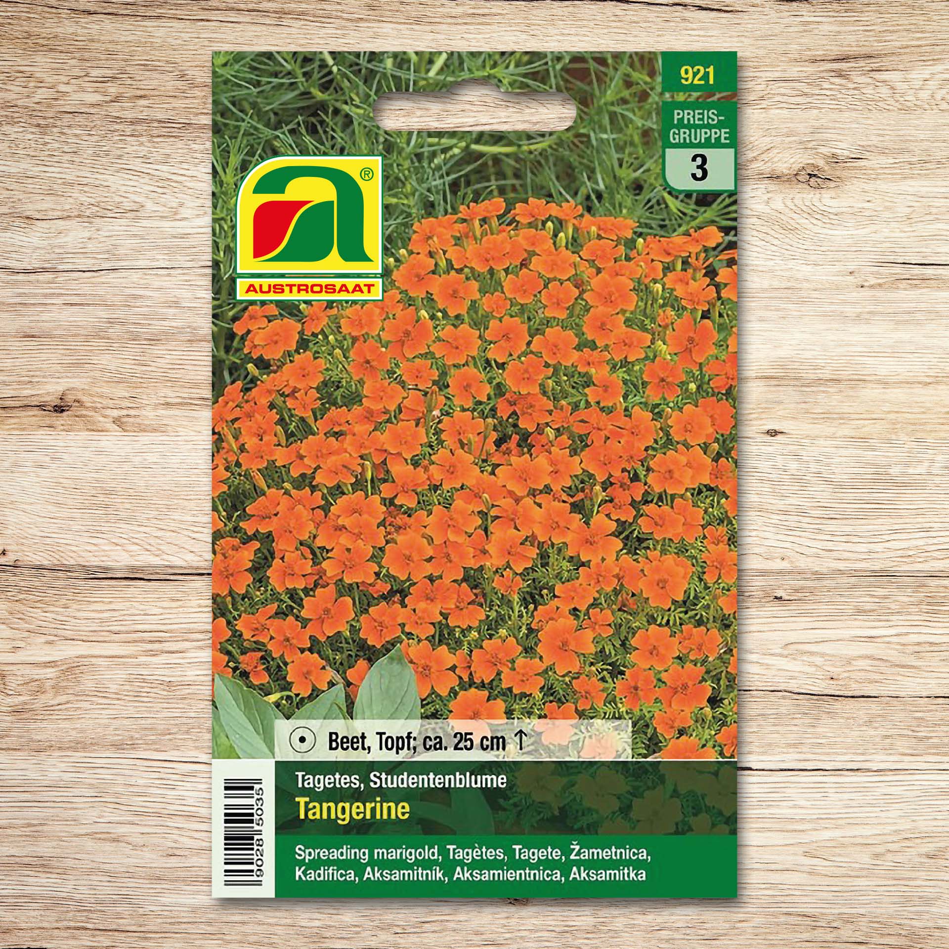 Tagetes Tangerine