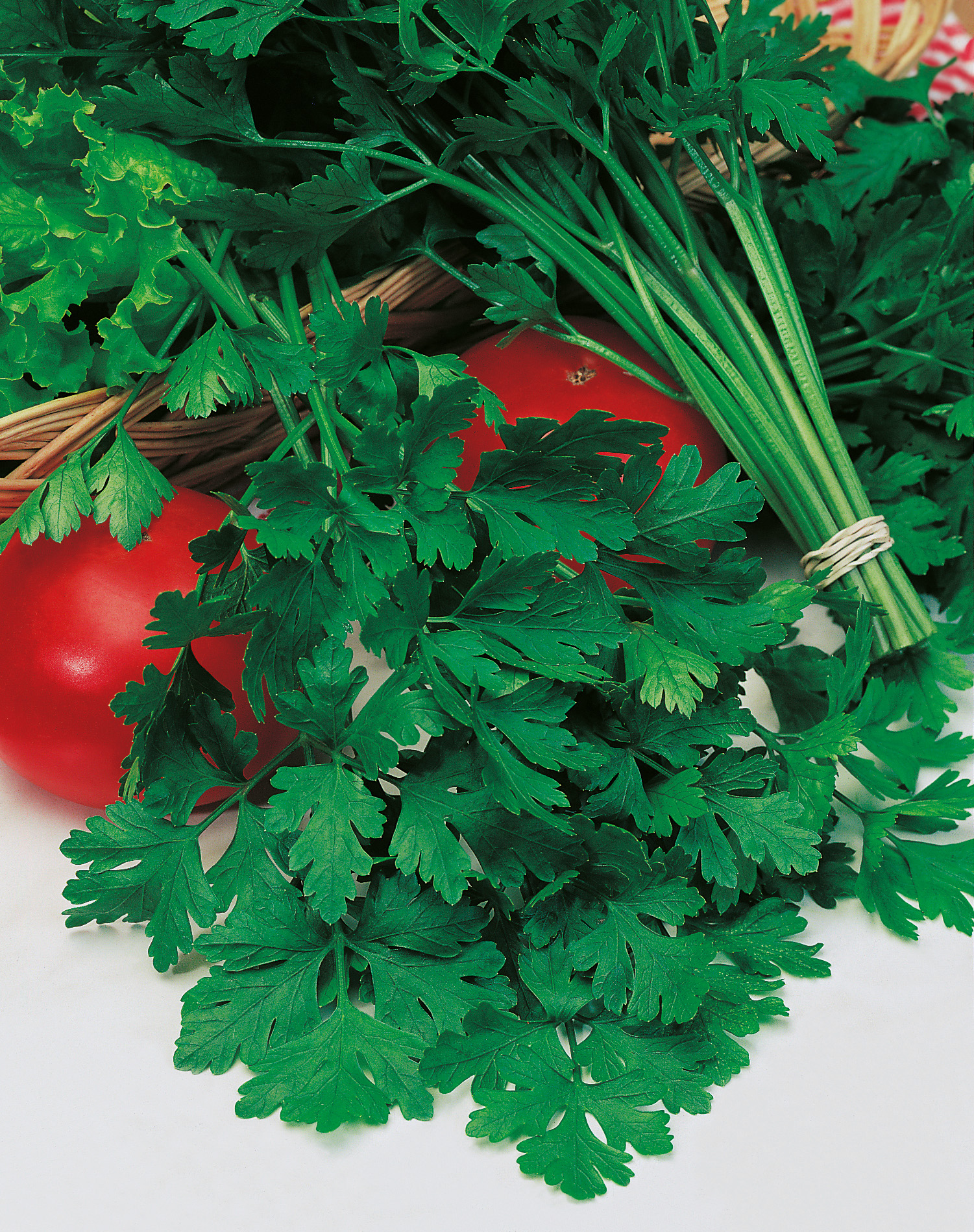 Bund frischer, glatter Petersilie auf weißem Untergrund, rote Tomaten und grüner Salat im Hintergrund