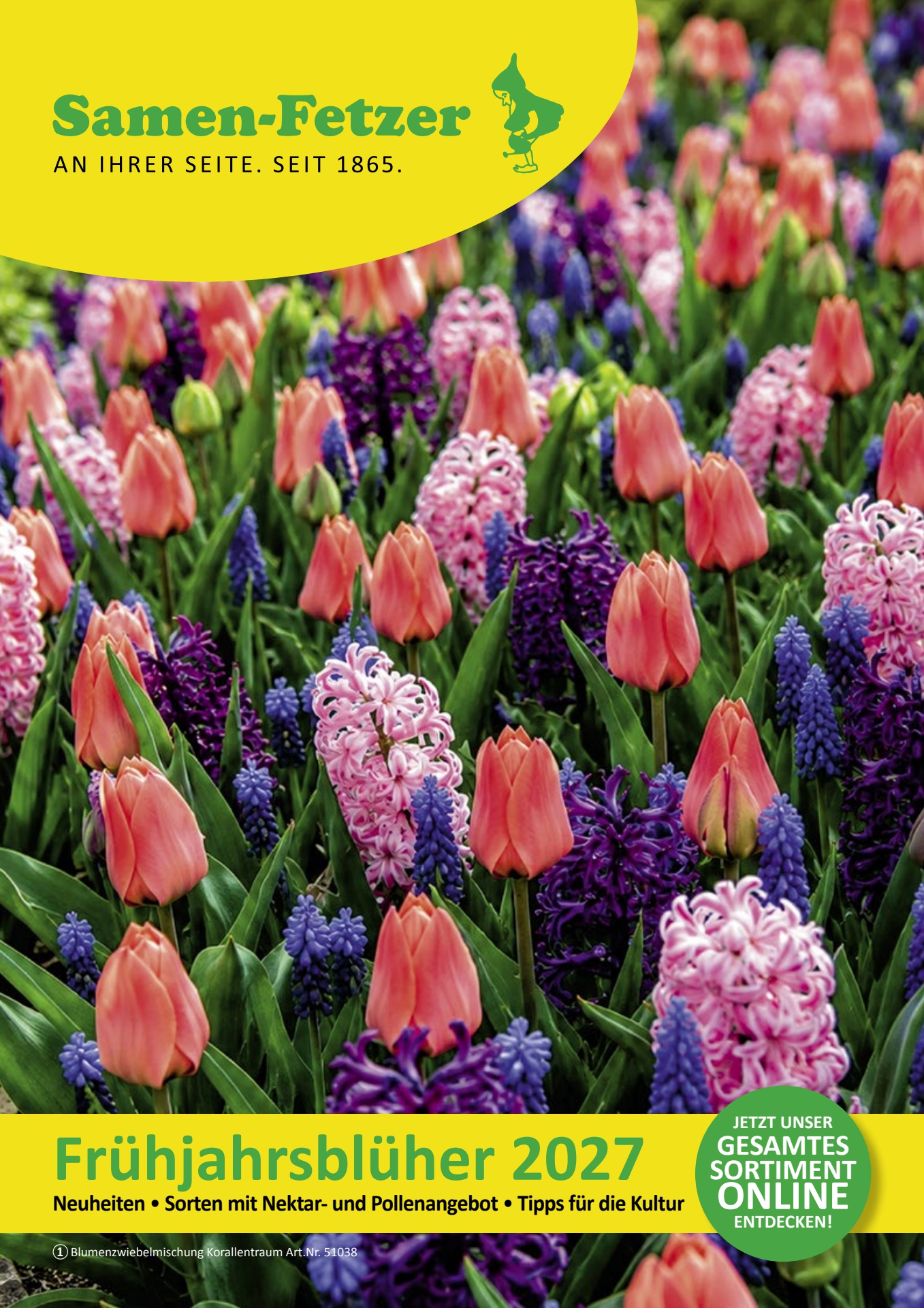 Katalog Hobby Herbst Frühlingsblüher 2027