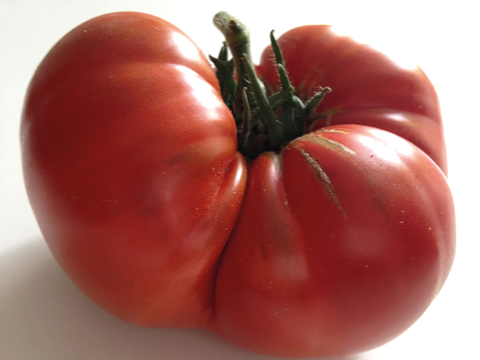 Fleischtomate Americki Paradejz