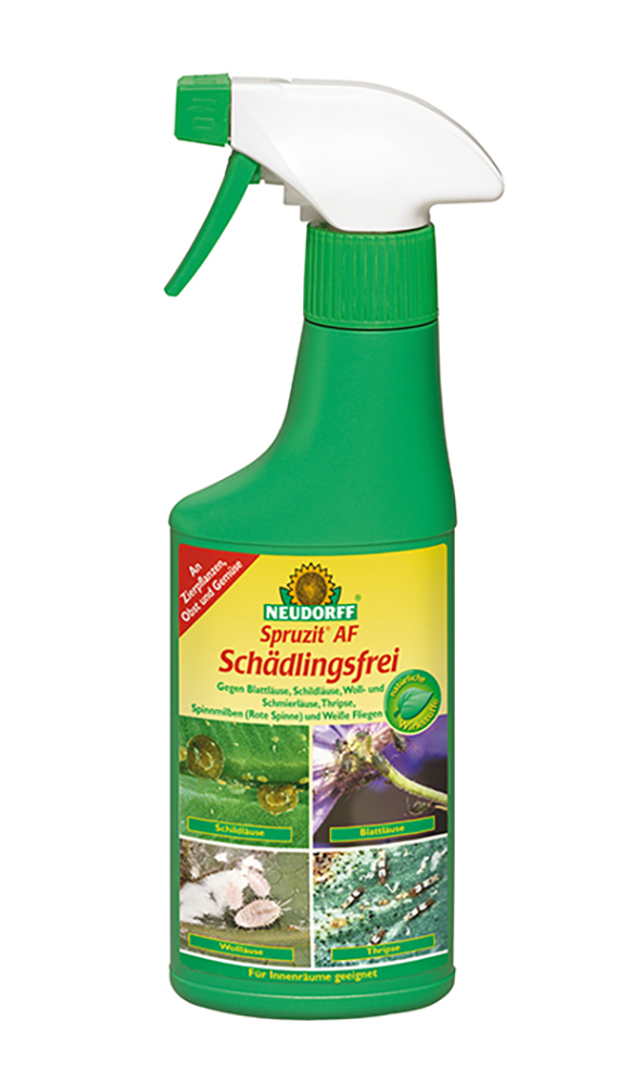 Grüne Sprühflasche 'Neudorff Spruzit AF Schädlingsfrei' mit weißem Sprühkopf und Produktetikett, gebrauchsfertiges Pflanzen-Sprühmittel