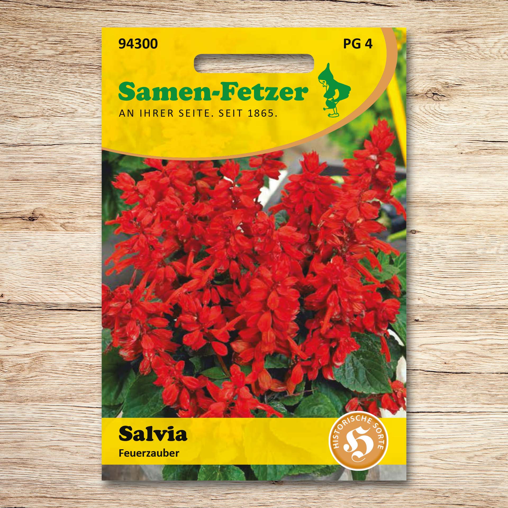 Salvien Feuerzauber