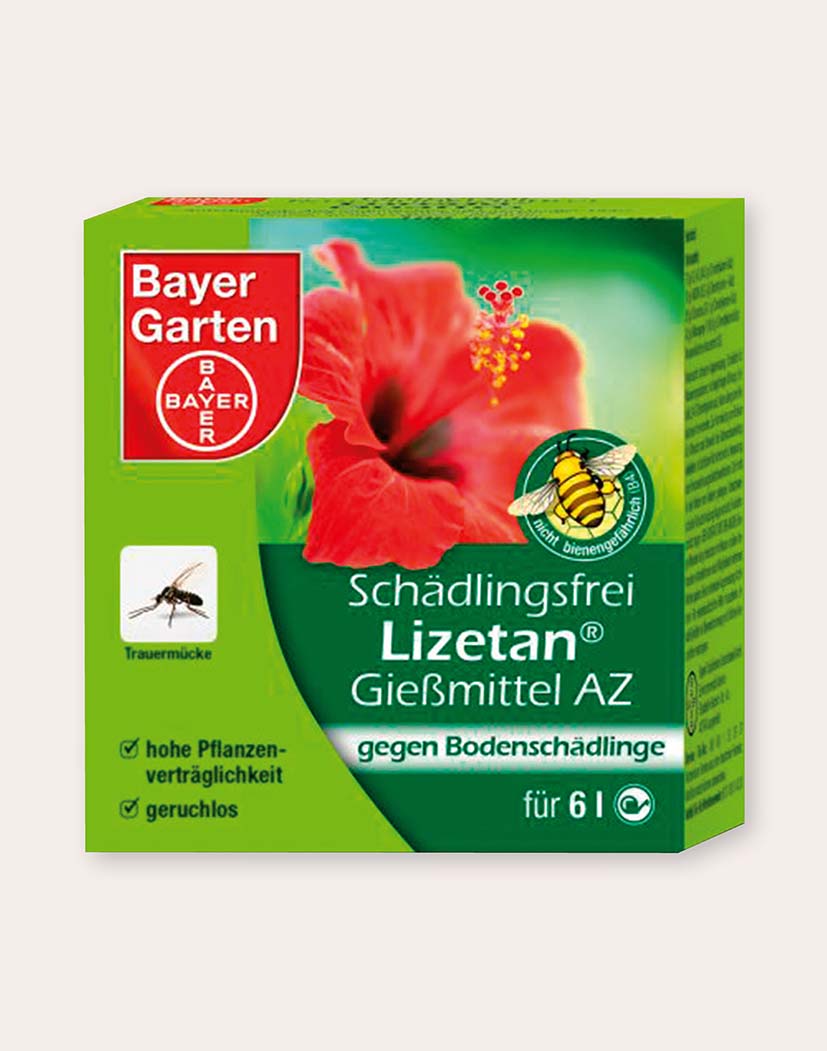 Bayer Garten Lizetan Gießmittel AZ Verpackung, grün-rote Box mit Hibiskusblüte, Bienensymbol und Hinweis gegen Bodenschädlinge, Inhalt für 6 l