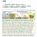 Screenshot einer Software-Oberfläche mit hervorgehobenem grünem Text, Menüleiste, Symbolleiste, Auswahlmarkierung und erläuterndem deutschen Textabschnitt; zeigt Dokumentenansicht mit Zeilen und farbiger Markierung.