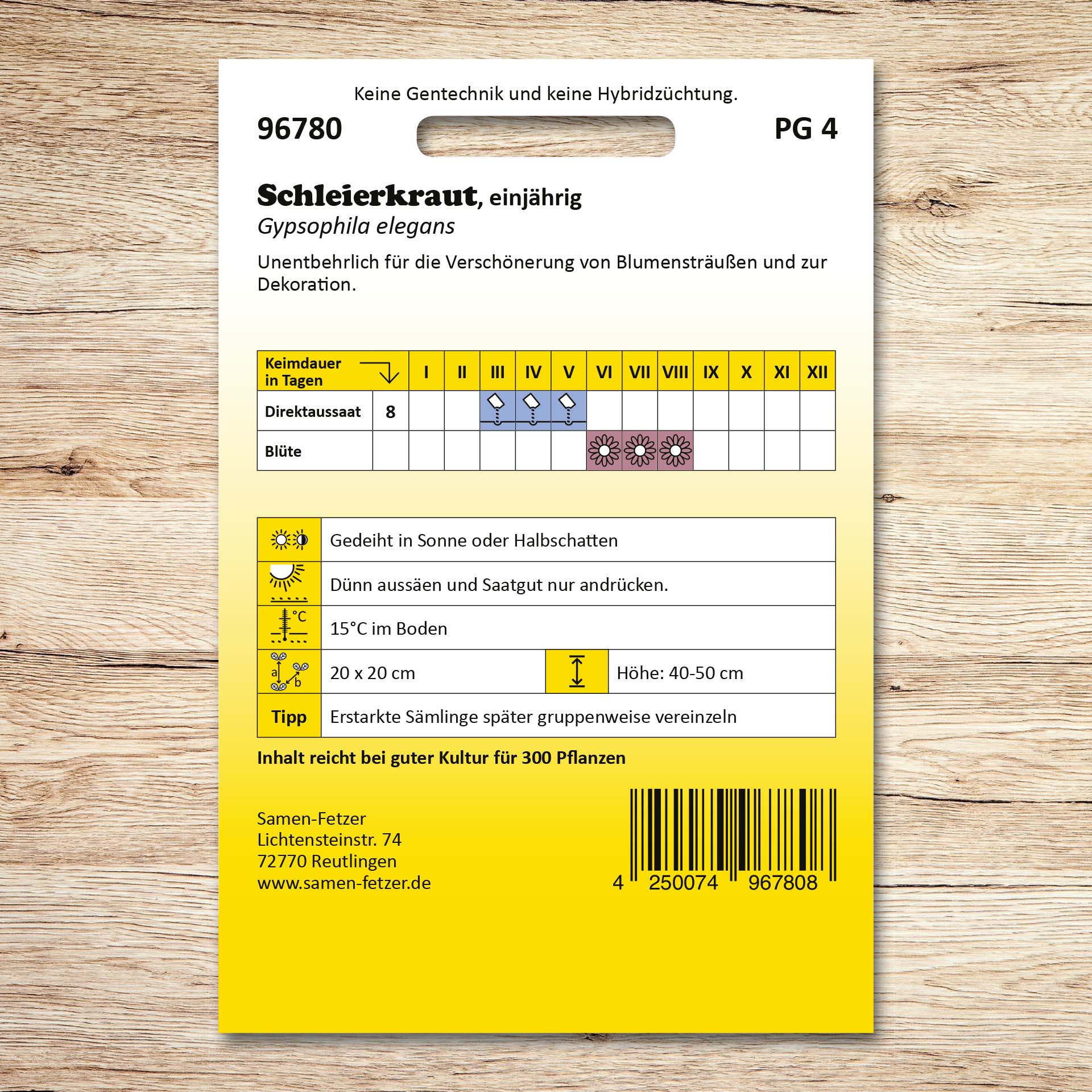 Schleierkraut einjährig