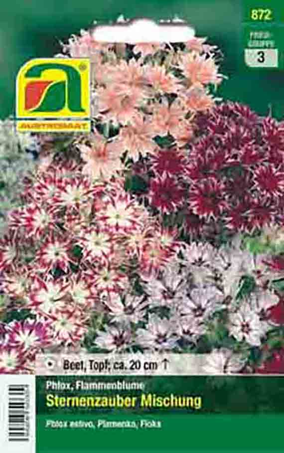 Saatgut-Tüte Phlox 'Sternenzauber Mischung' mit rosa, rot-weißen und weißen sternförmigen Blüten; geeignet für Beet und Topf, Wuchshöhe ca. 20 cm