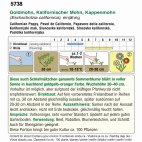 5738 RS Packungsrückseite eines Lebensmittelprodukts mit Zutatenliste, Allergenenhinweis, Nährwerttabelle und grünem Informationsfeld auf weißem Hintergrund