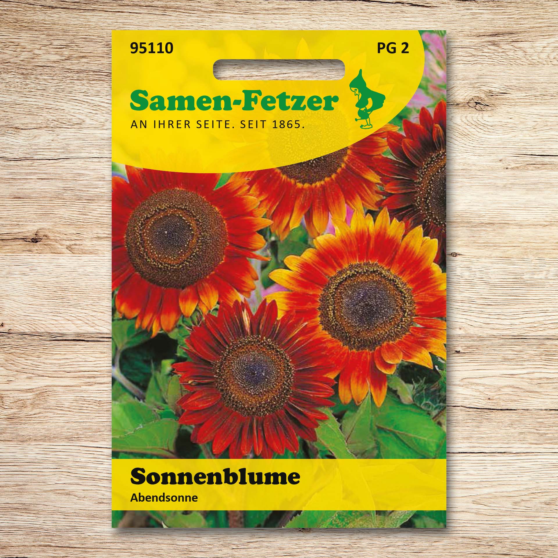 Sonnenblumen Abendsonne