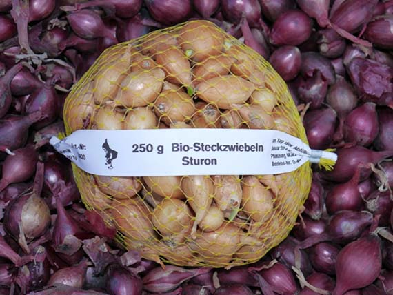 Netzbeutel mit 250 g Bio-Steckzwiebeln der Sorte Sturon, auf einem Haufen roter Zwiebeln liegend, Etikett sichtbar