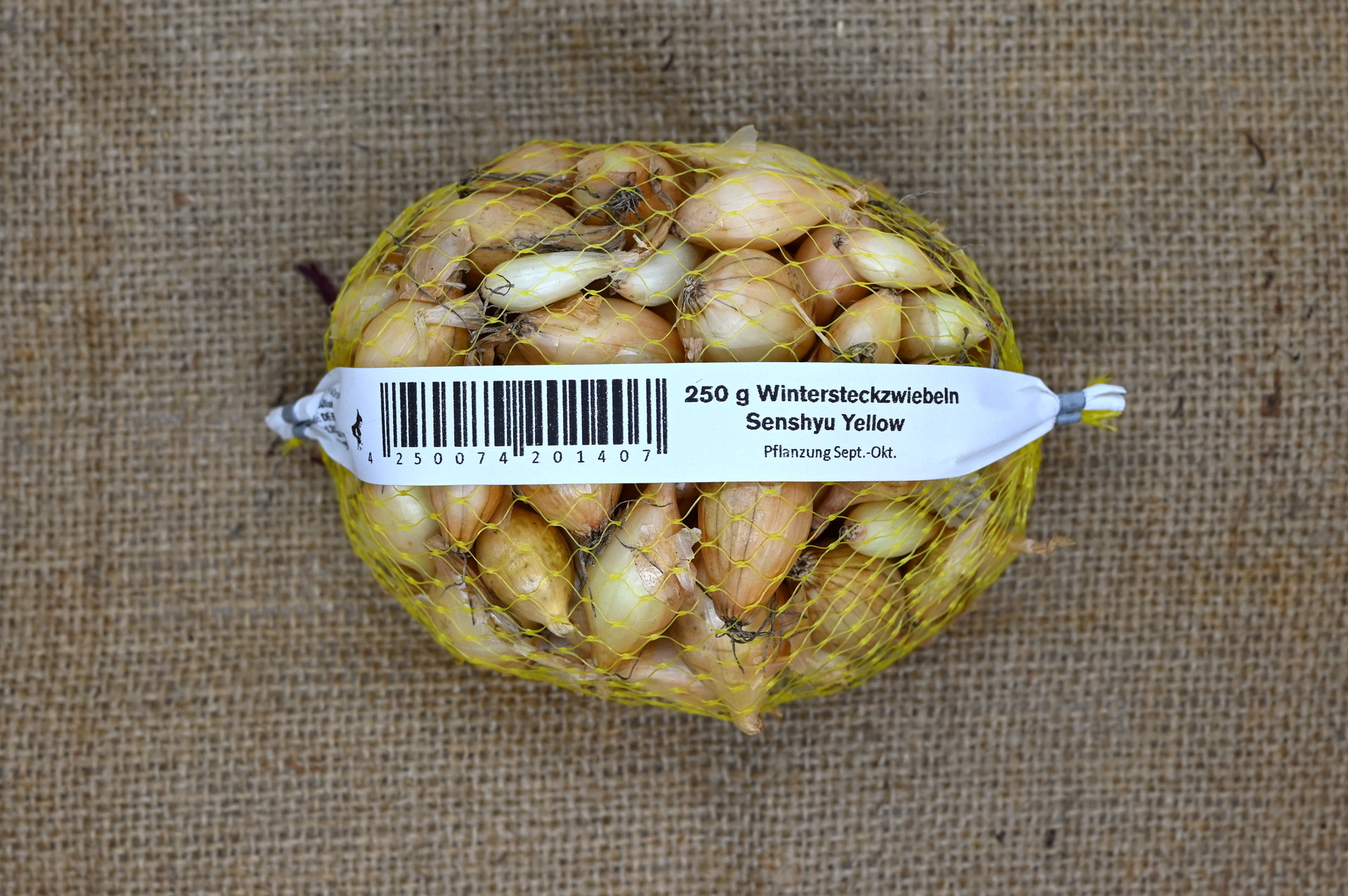 Netzbeutel mit 250 g Wintersteckzwiebeln der Sorte Senshyu Yellow auf Jutehintergrund, Sicht auf Etikett mit Barcode und Pflanzhinweis (Pflanzung Sept.–Okt.).