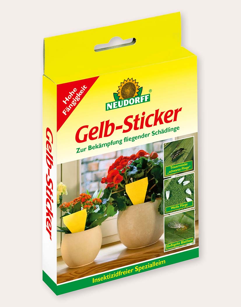 Packung Neudorff Gelb-Sticker: Gelbe Klebesticker in Blumentöpfen auf der Fensterbank zur Befallskontrolle von Trauermücken, Weißen Fliegen und geflügelten Blattläusen, insektizidfreier Spezialkleber