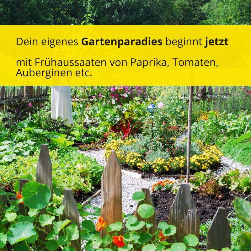 Jetzt Frühaussaaten säen!