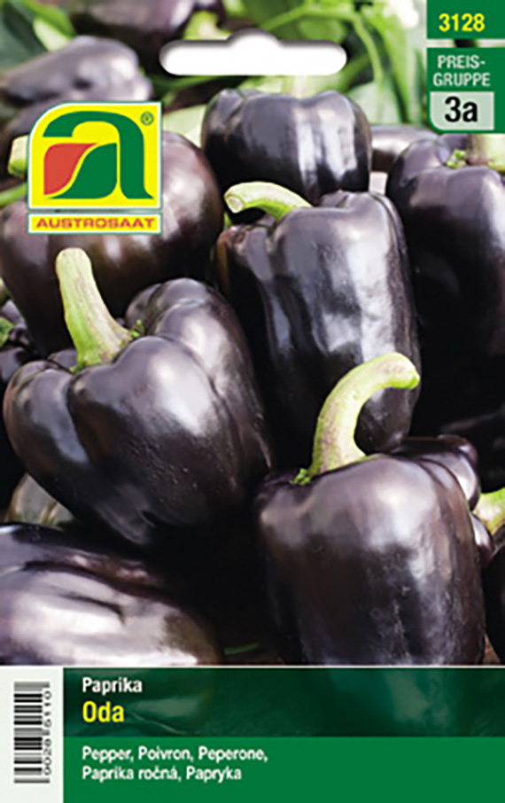 Verpackung für Paprika-Samen 'Oda' (Austrosaat) mit mehreren dunkelvioletten bis schwarzen Blockpaprika auf grünem Hintergrund