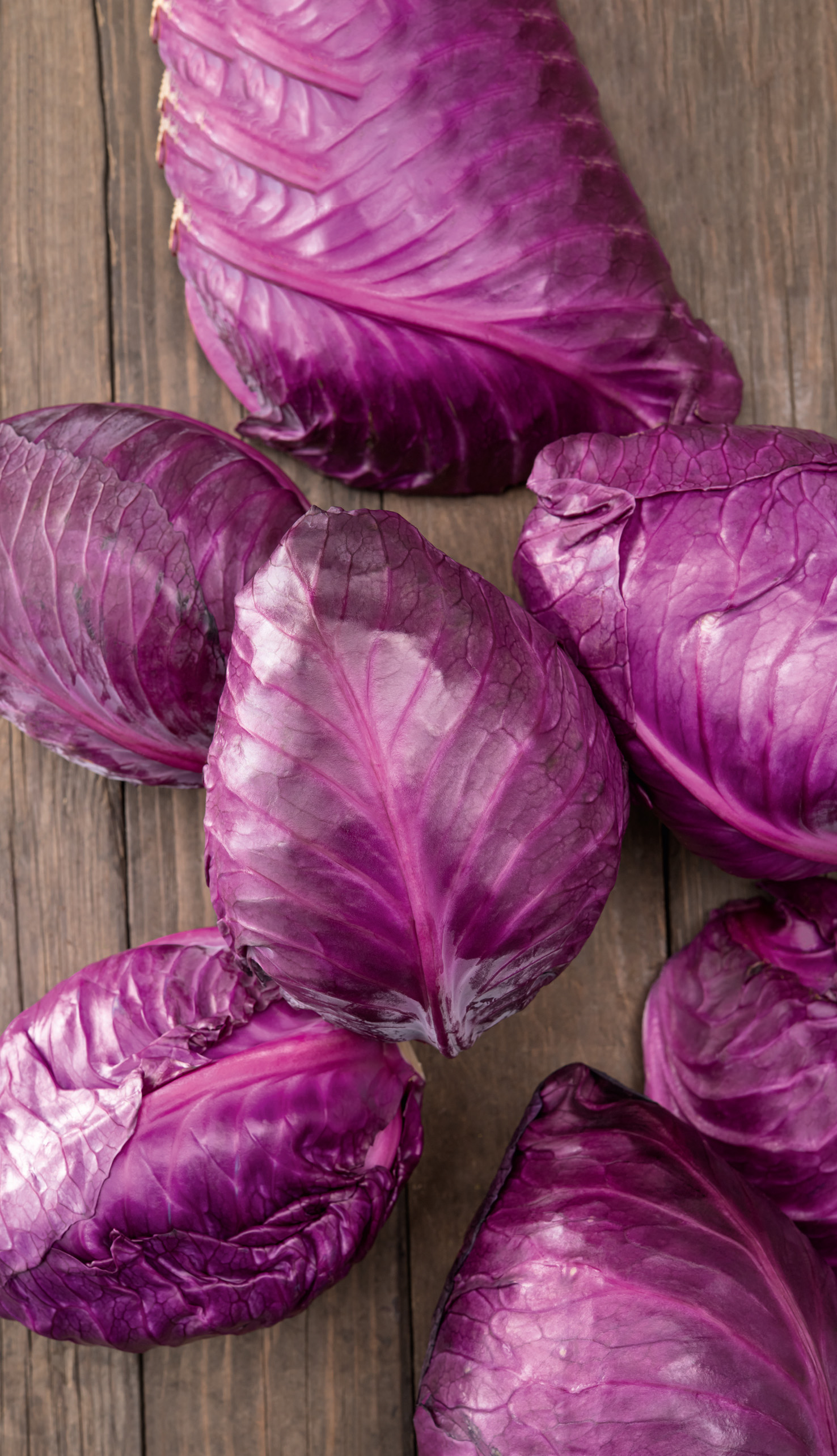 Mehrere ganze und halbierte violette Rotkohl-Köpfe auf einem Holzbrett, Nahaufnahme