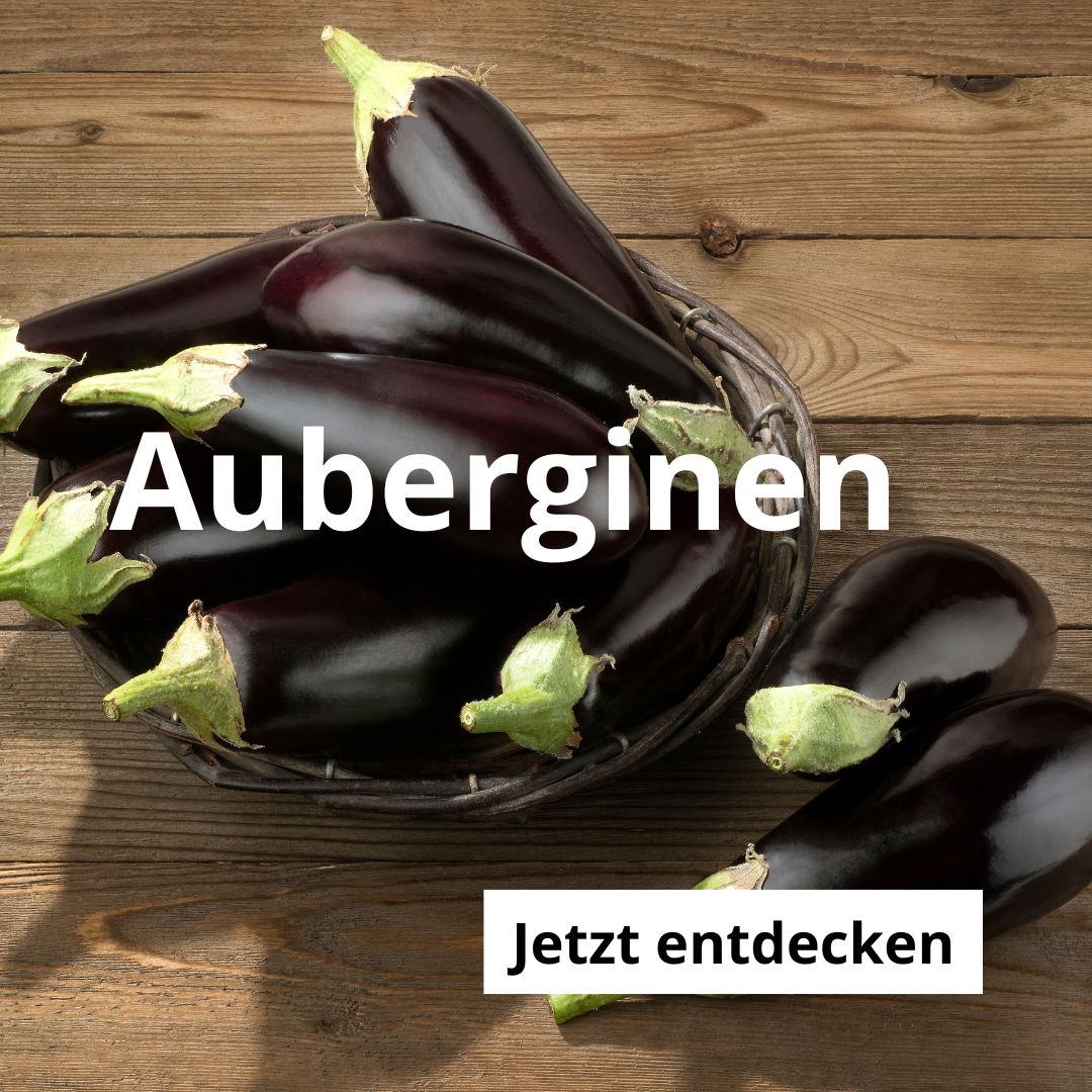 Auberginen