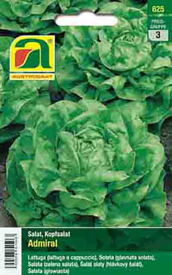 Saatguttüte 'Admiral' Kopfsalat mit Foto grüner Salatköpfe und Herstellerlogo