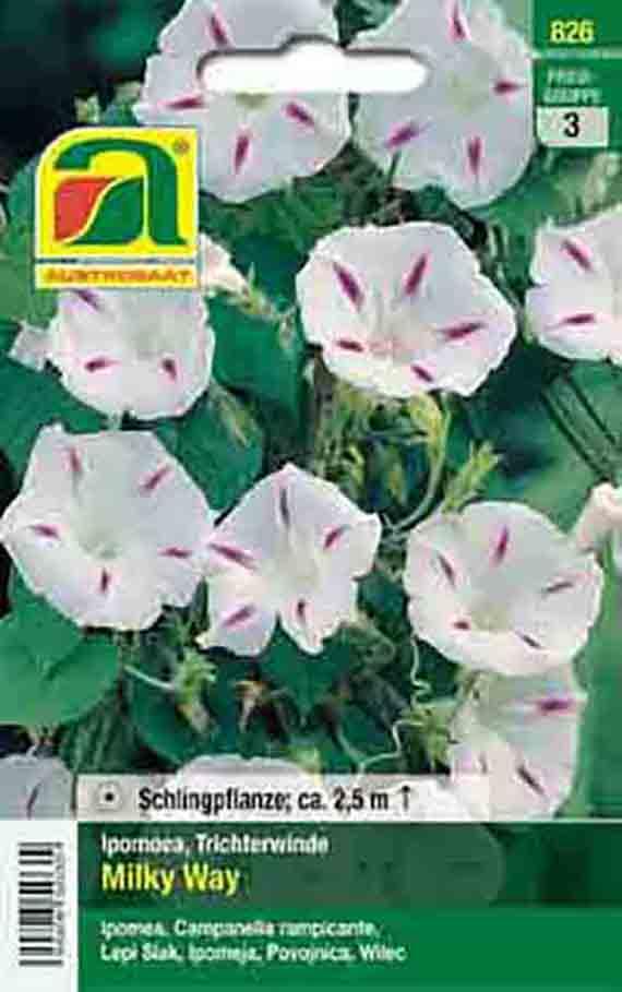 Saatgut-Packung Ipomoea 'Milky Way' (Trichterwinde) mit weißen Blüten und rosa Zeichnung, Kletterpflanze, Wuchshöhe ca. 2,5 m