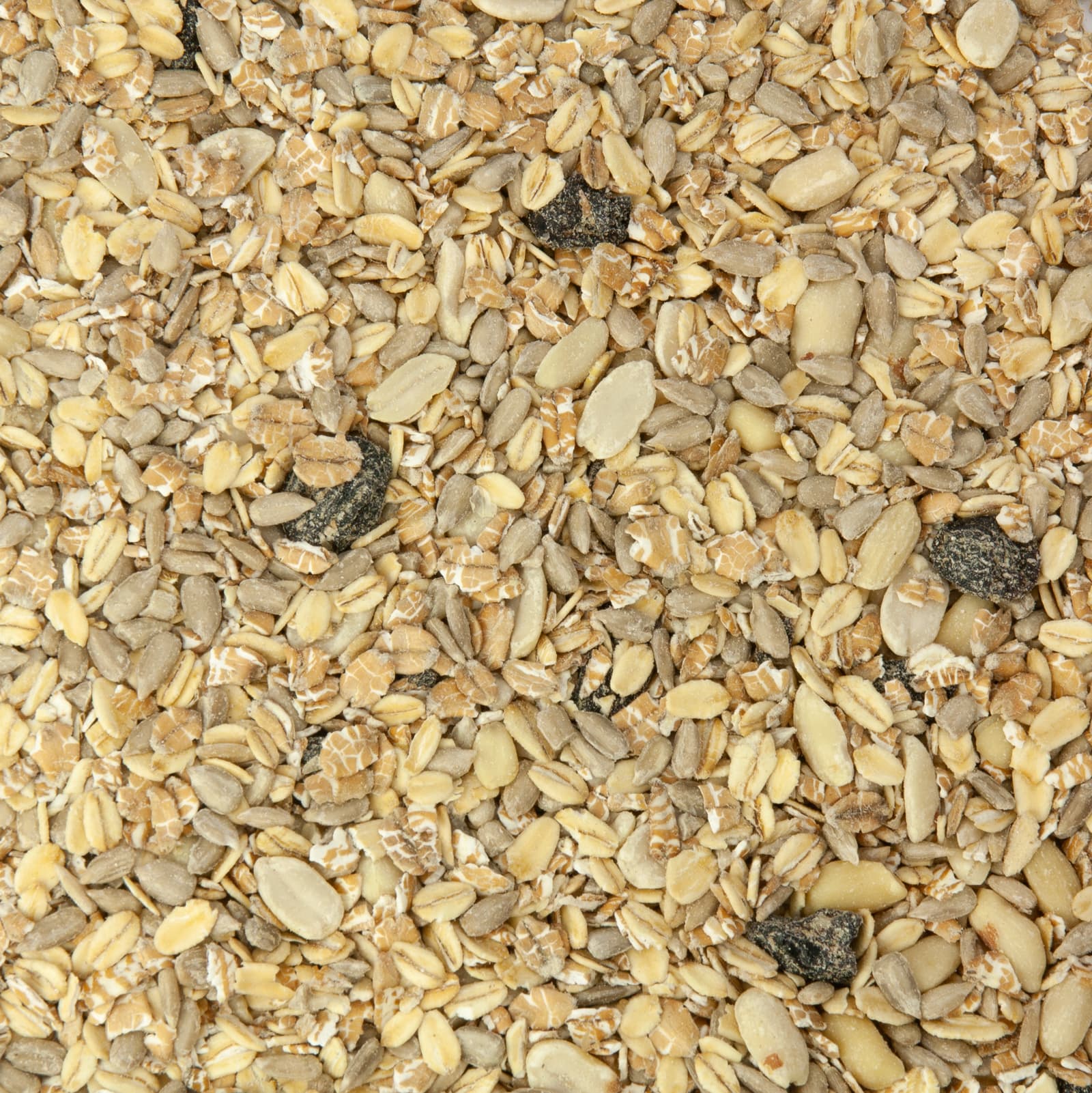 Nahaufnahme von Knuspermüsli mit Haferflocken, Sonnenblumenkernen, verschiedenen Saaten und getrockneten Früchten