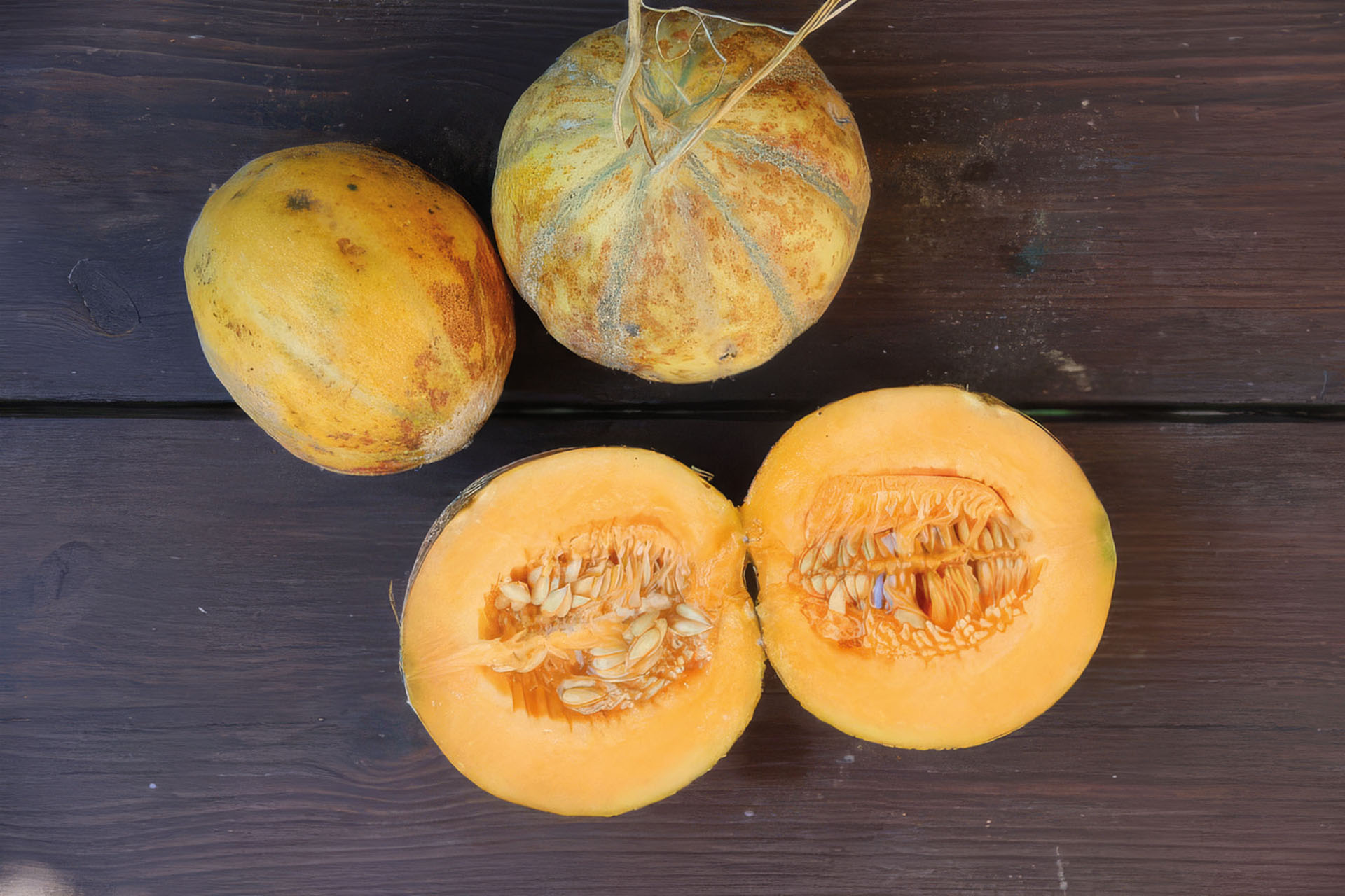 Zuckermelone Petit gris de Rennes