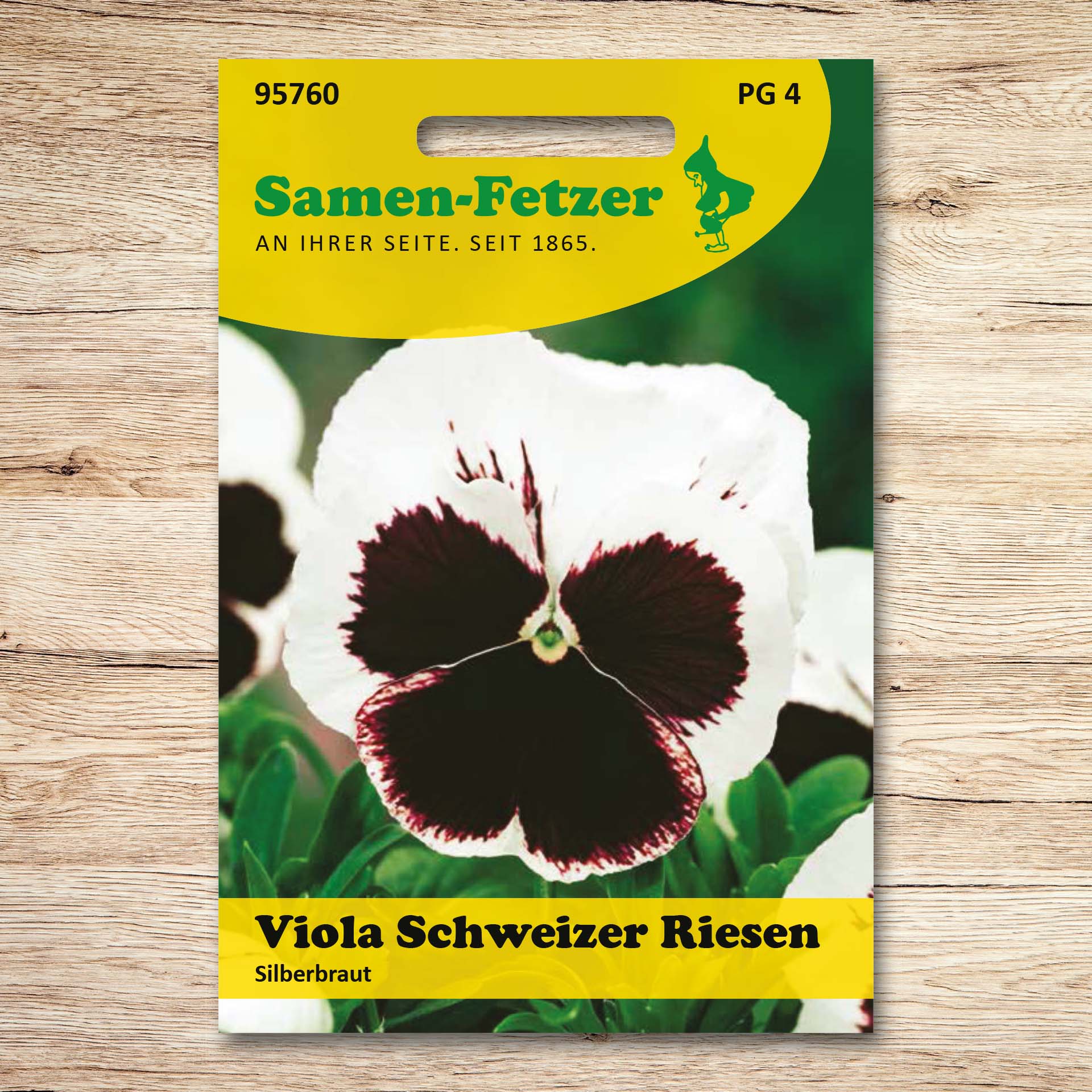 Stiefmütterchen Silberbraut