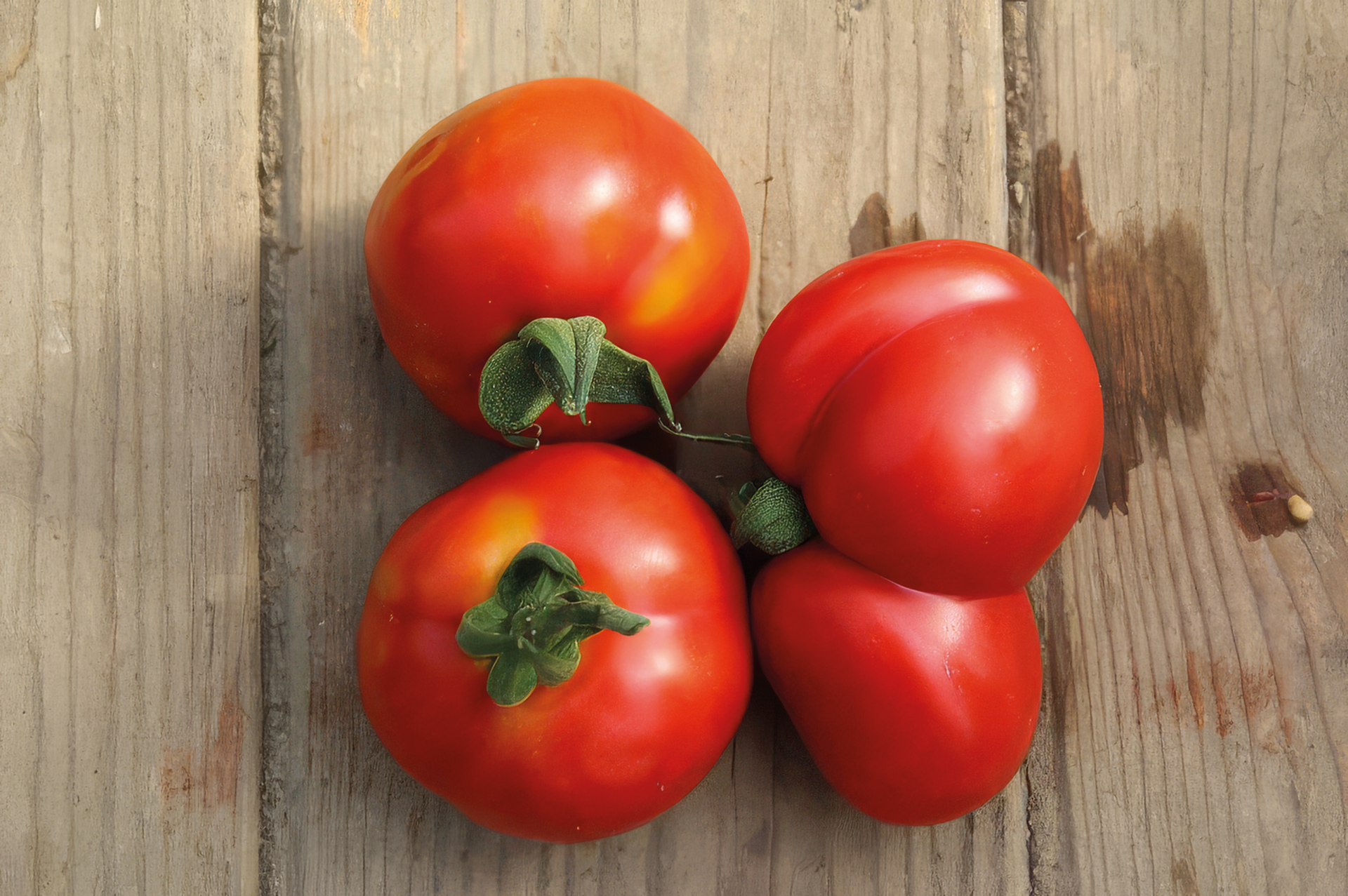 Tomate Sardo