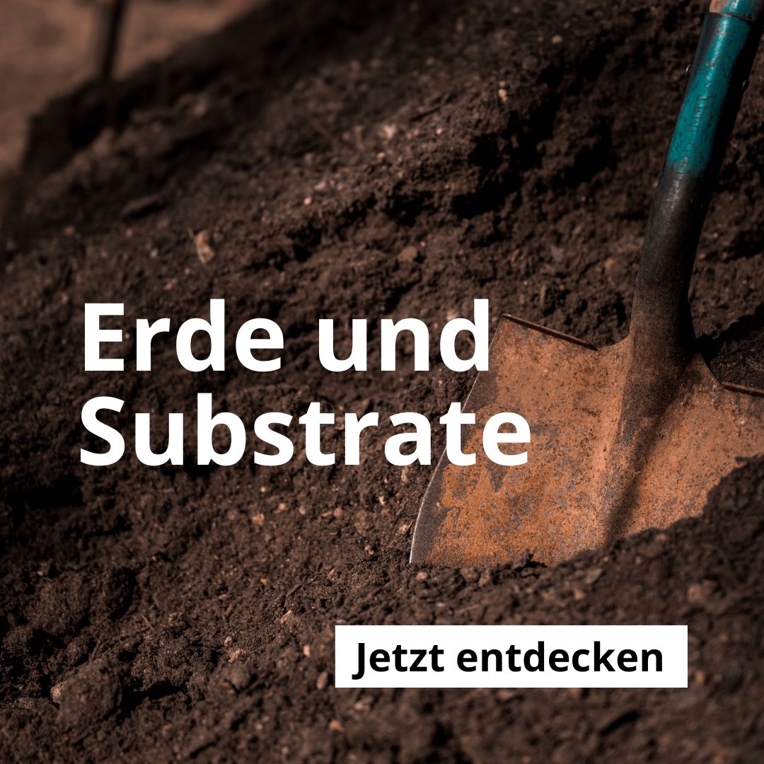 Erde und Substrate