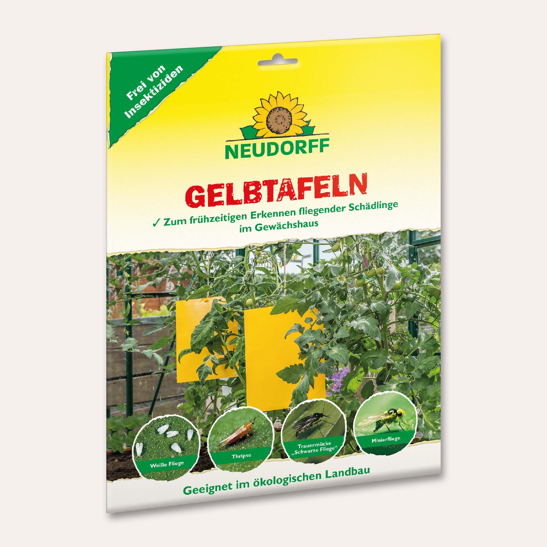 Hobby-Gelbtafeln 7,5 x 20 cm