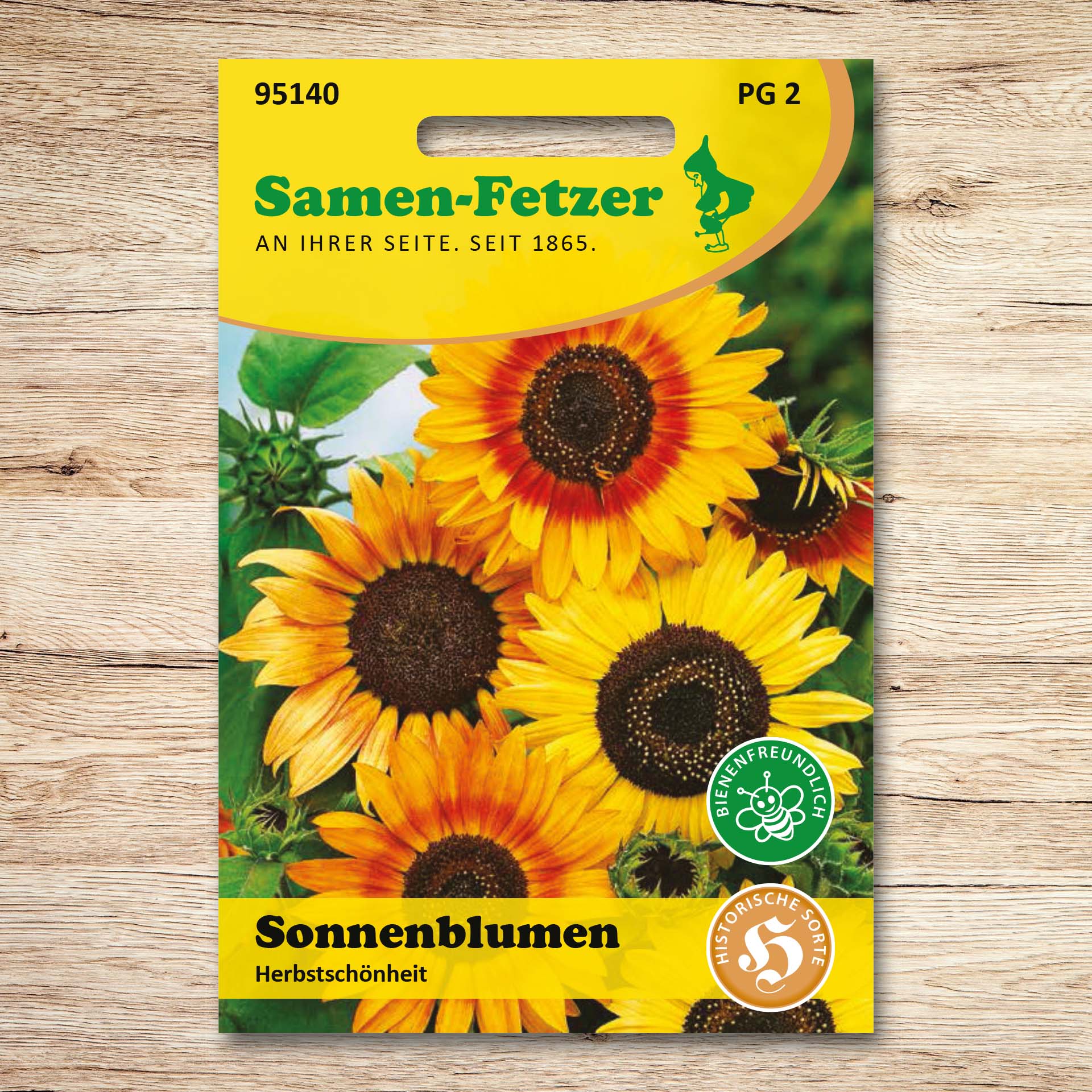 Sonnenblumen Herbstschönheit
