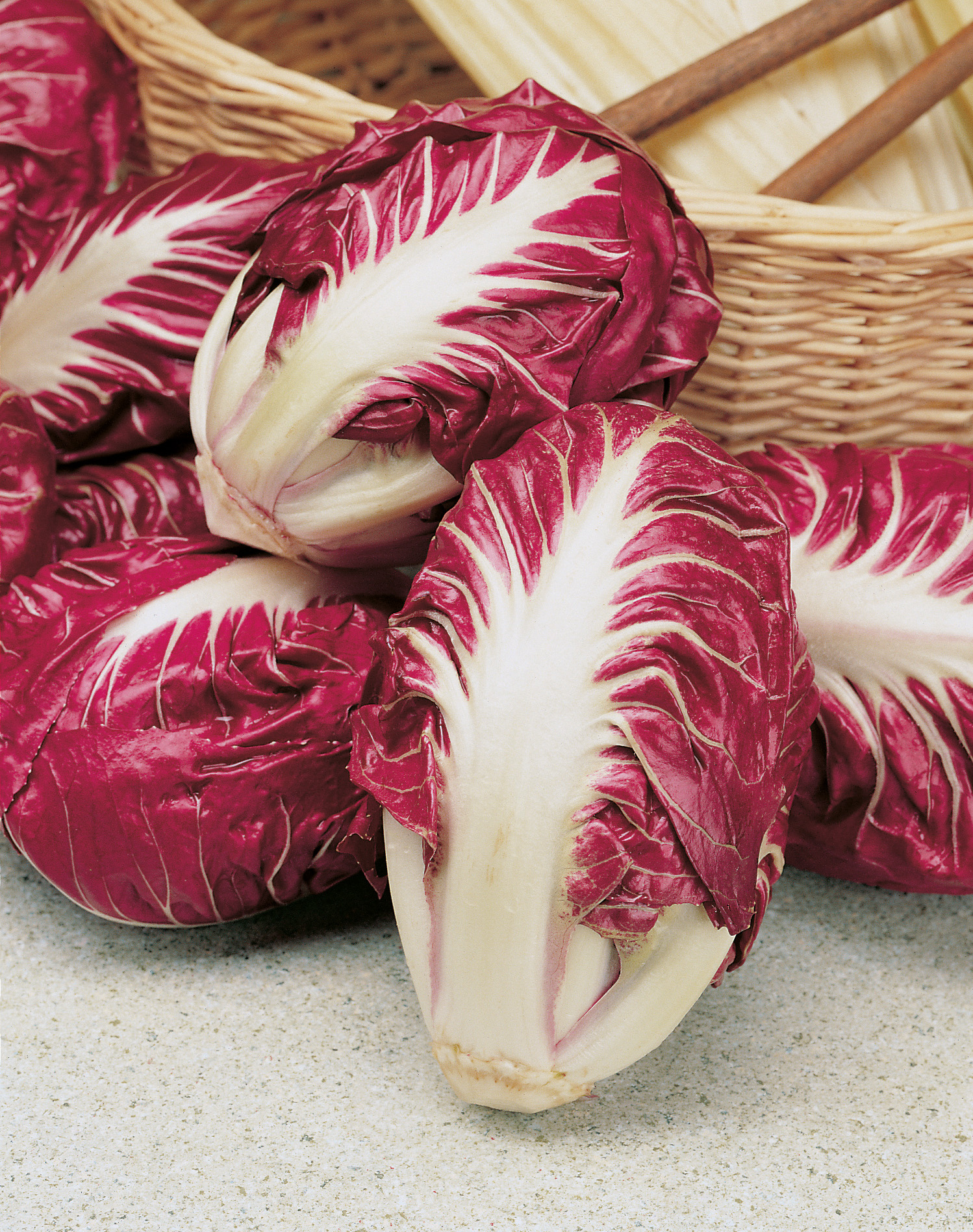Mehrere Radicchio-Köpfe (Roter Chicorée) mit weißen, stark geäderten Blattrippen in einem Weidenkorb auf hellem Steinuntergrund
