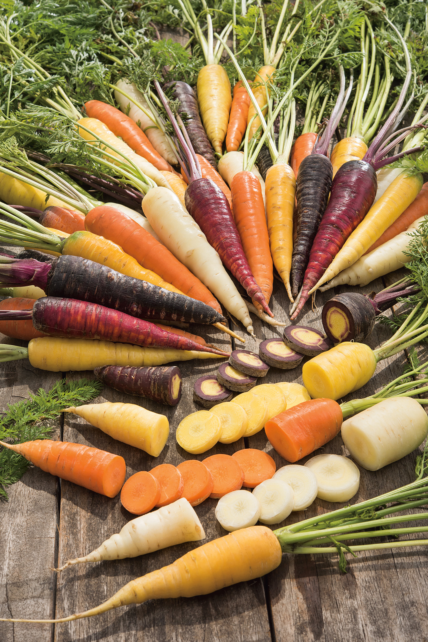 Mehrere frisch geerntete bunte Karotten (gelb, orange, violett, weiß) mit Grün auf rustikalem Holzbrett, ganze und in Scheiben geschnittene Möhren in einem Fächer arrangiert