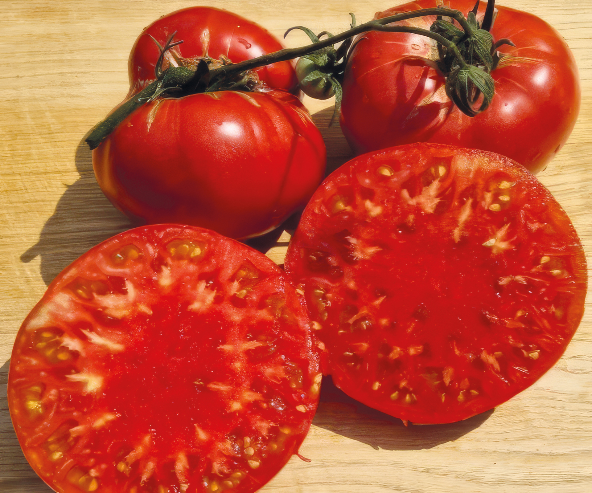 Fleischtomate Mariannas Peace