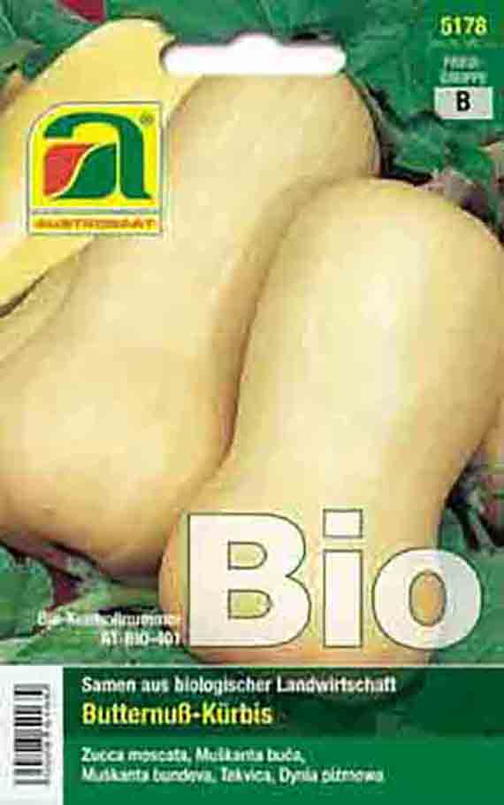 Vorderseite einer Saatgut-Packung für Bio-Butternuss-Kürbis mit Abbildung von zwei hellbeigen Butternut-Kürbissen