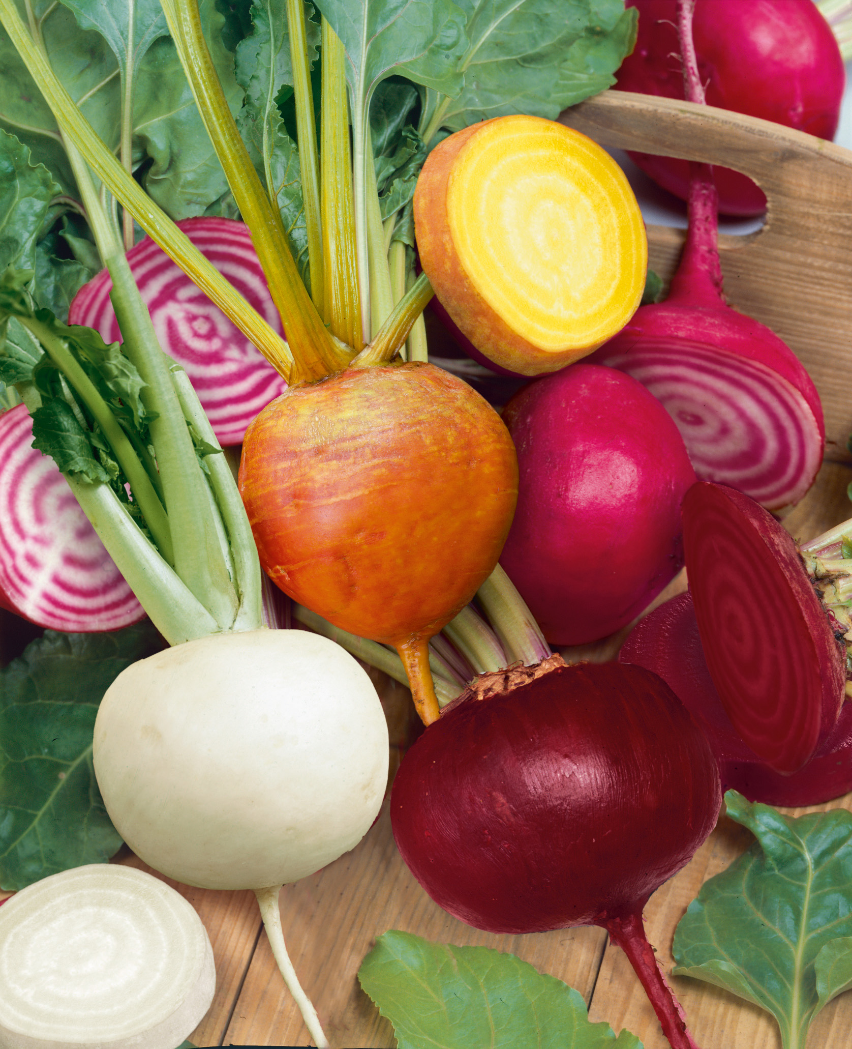 Nahaufnahme verschiedener Rote-Bete-Sorten: rote, goldene, weiße und Chioggia-Ringelbeete auf einem Holzbrett, teils angeschnitten, mit frischem Blattgrün